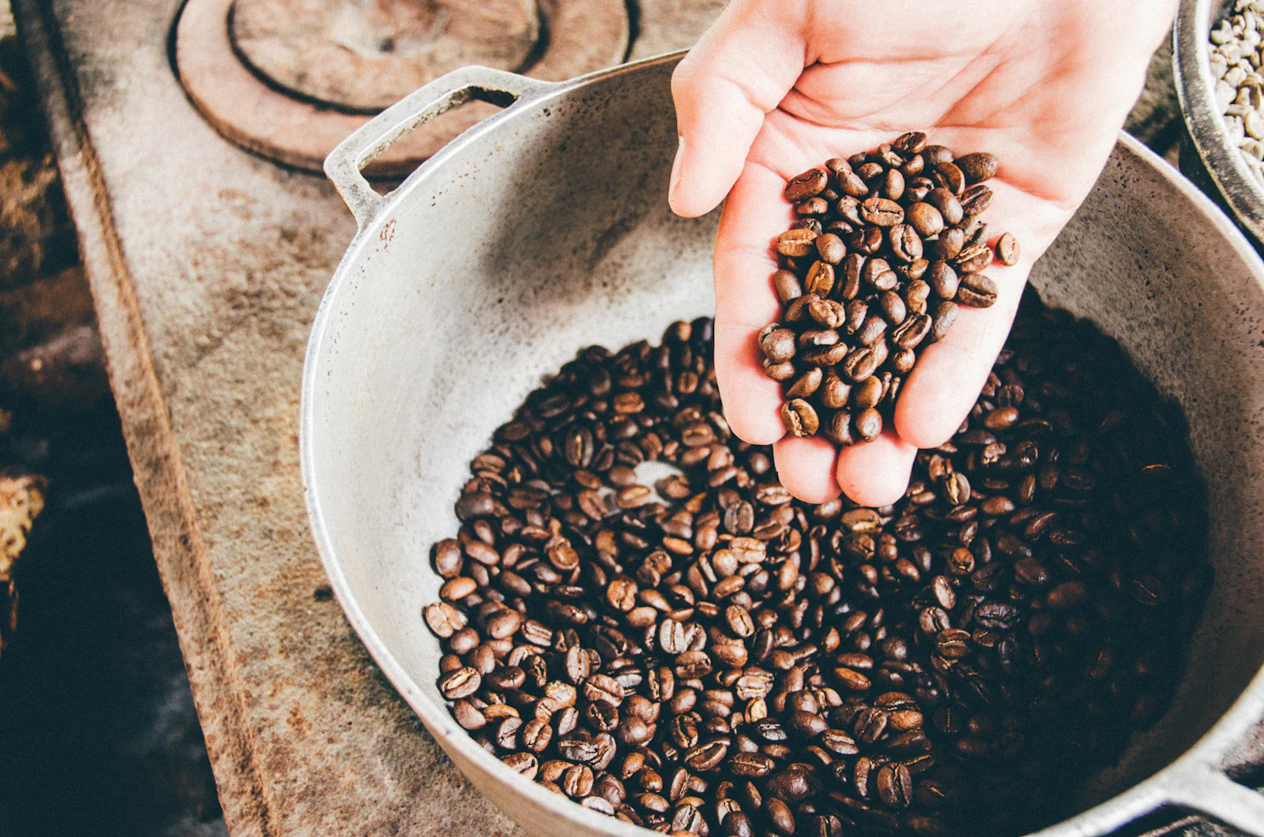 A hand scooping freshly roasted coffee beans from a metal pan